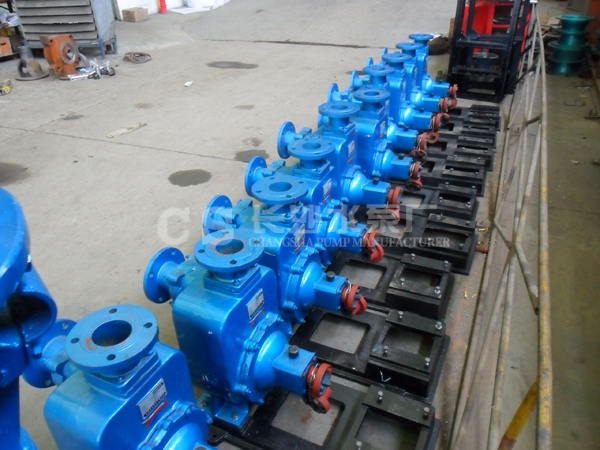 長沙水泵廠ZW型自吸無堵塞排污泵